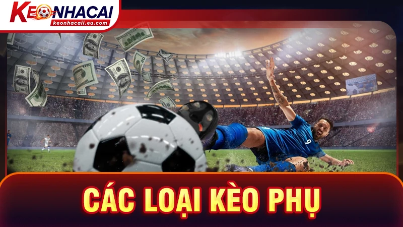 Các loại kèo phụ cũng được cung cấp đầy đủ tại duan-hanoi.com