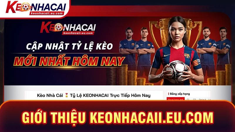 Giới thiệu duan-hanoi.com - Trang dũ liệu bóng đá toàn diện 2026